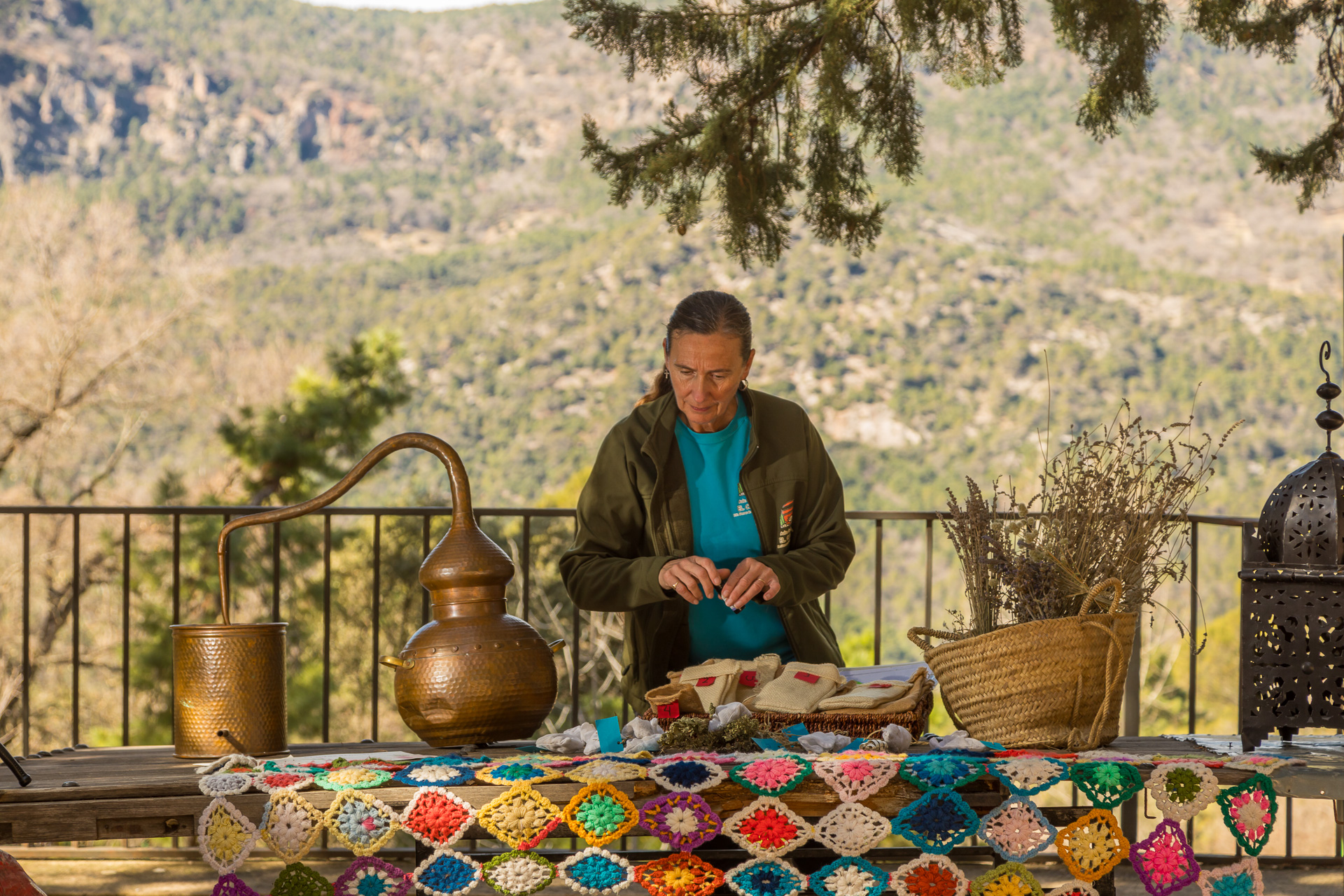 Semillas de la naturaleza