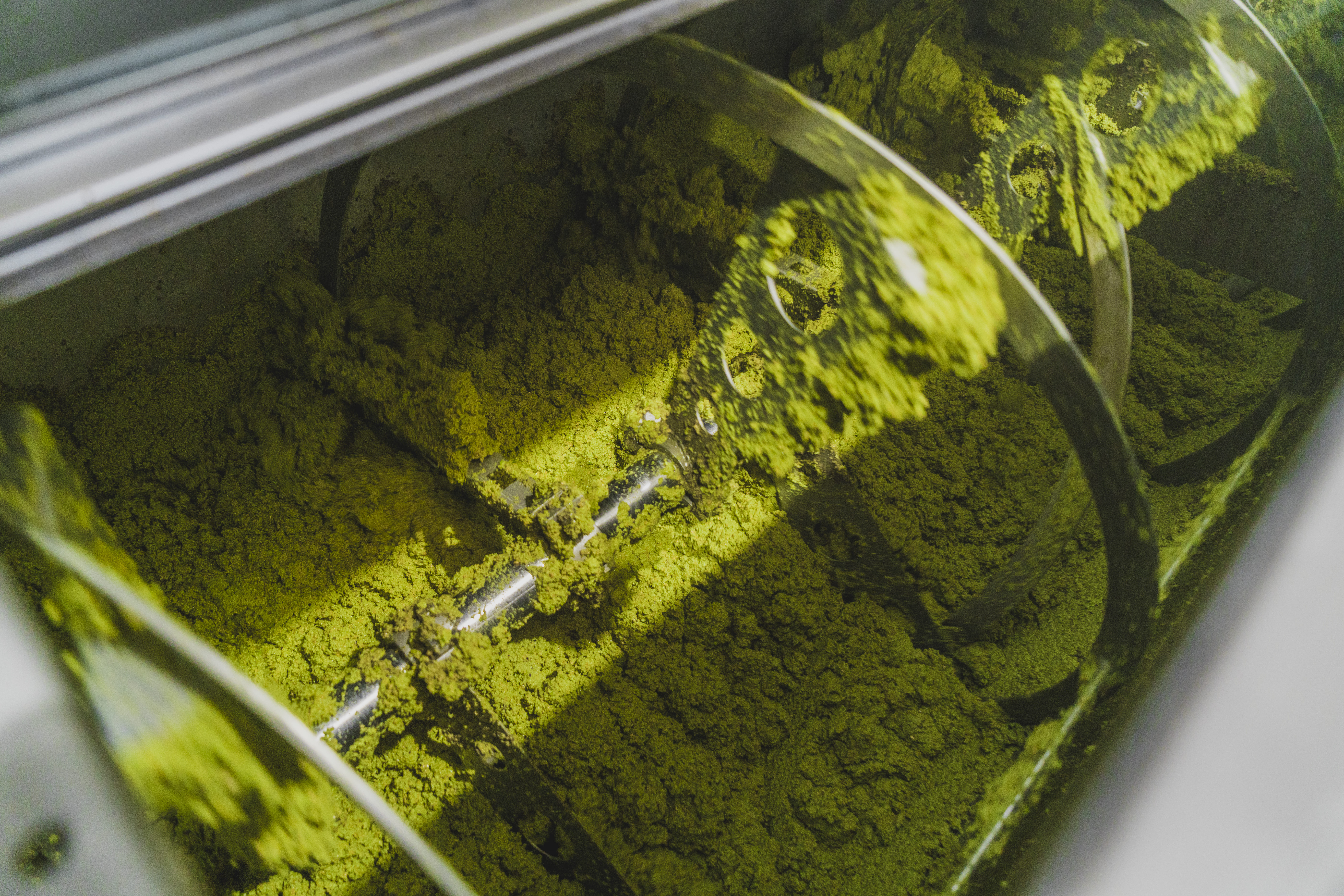 Pasta de aceituna de color verde intenso siendo removida en una máquina durante el proceso de elaboración del aceite de oliva.