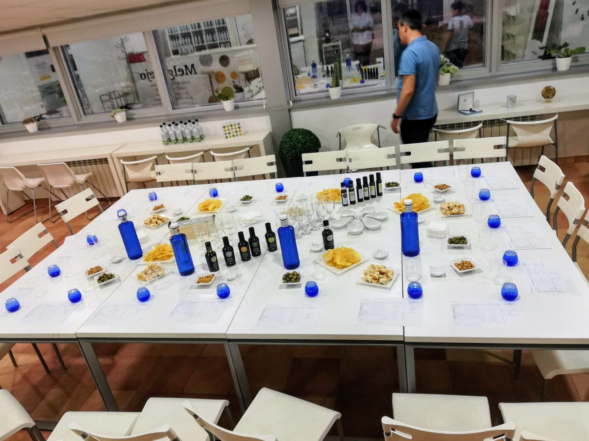 Mesa preparada para una cata de aceite de oliva con botellas, copas azules y platos con alimentos en una sala interior.