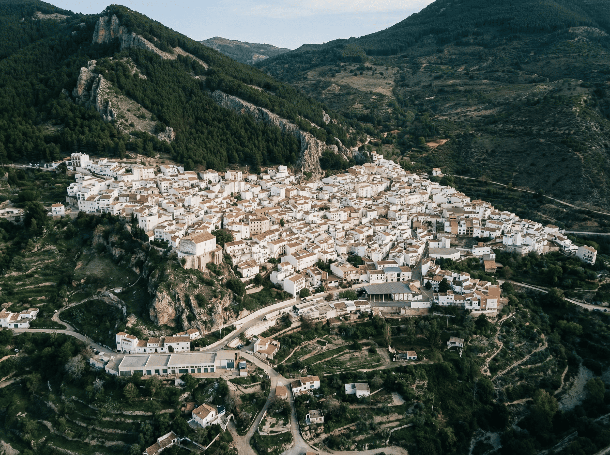 Grupo de ciclistas detenidos junto a una valla de madera, contemplando un amplio paisaje de olivares y montañas. La escena muestra un entorno abierto y luminoso, con caminos de tierra y sierras al fondo bajo un cielo suave y despejado.