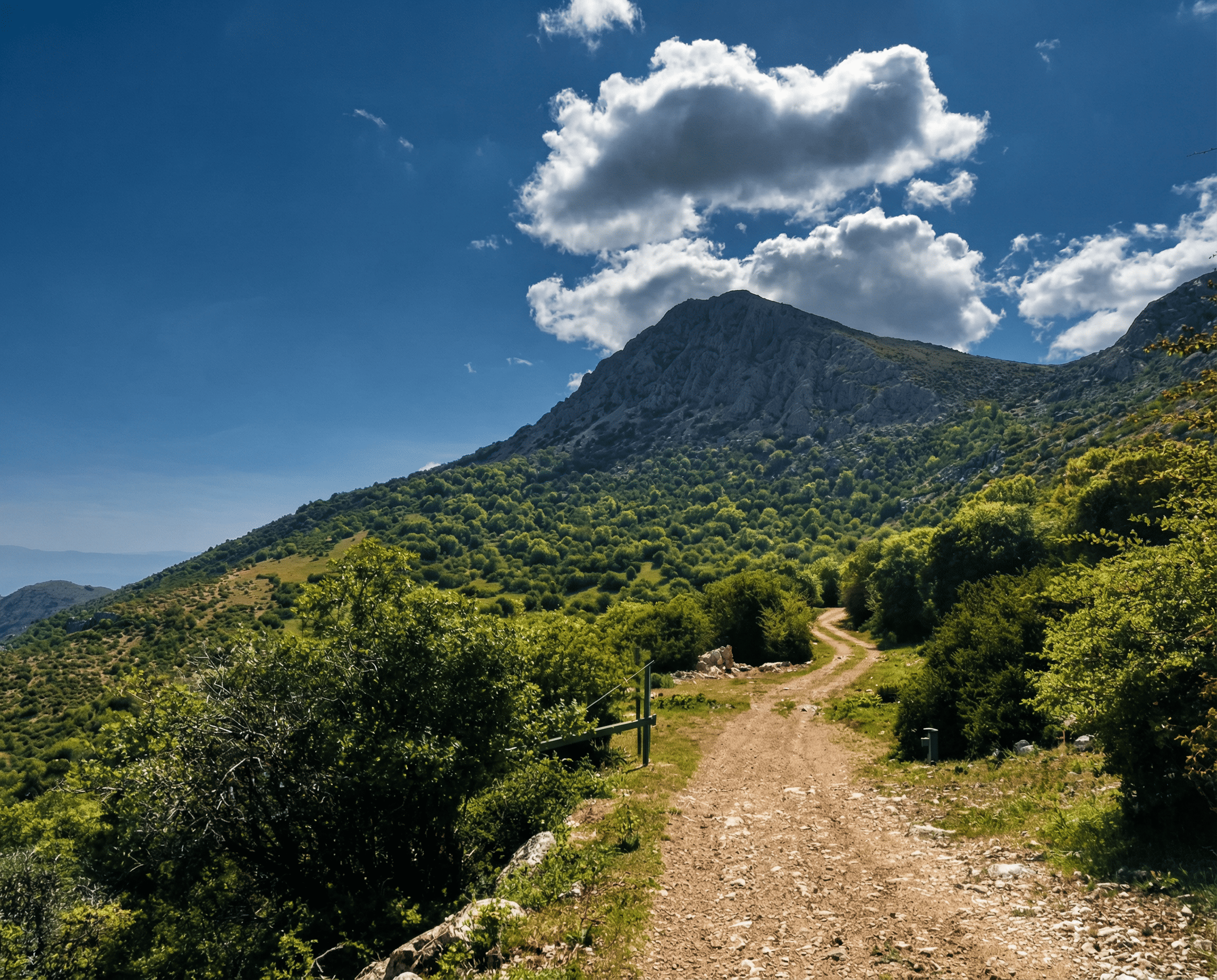 Camino de tierra que asciende entre vegetación y matorral hacia una montaña de laderas rocosas. Sobre la cumbre destaca una gran nube blanca en un cielo azul intenso, aportando fuerza visual al paisaje.