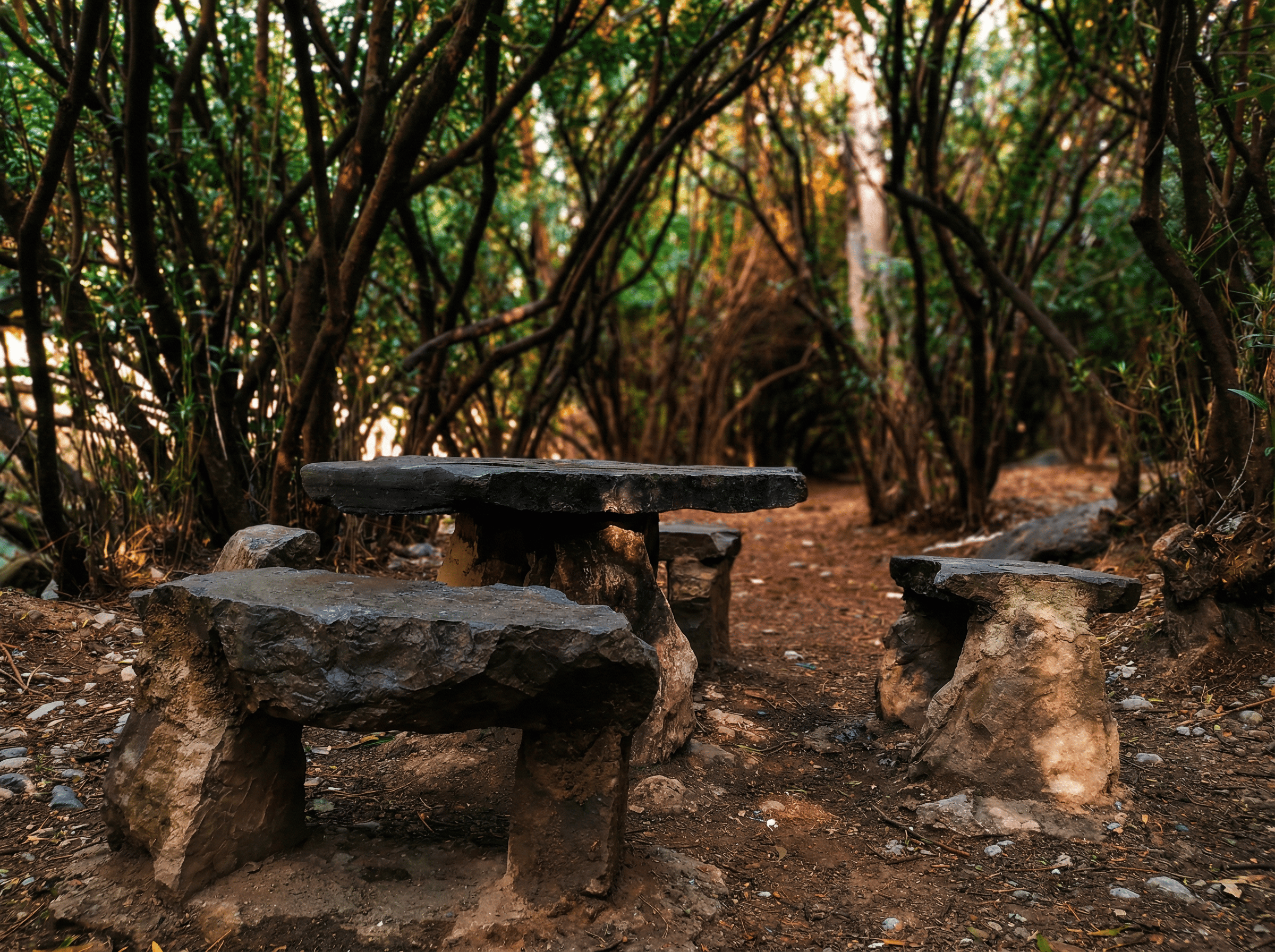 Conjunto de mesa y bancos de piedra situado en un rincón sombreado entre árboles y vegetación espesa. El espacio, de suelo terroso y ambiente recogido, transmite sensación de descanso y refugio en plena naturaleza.