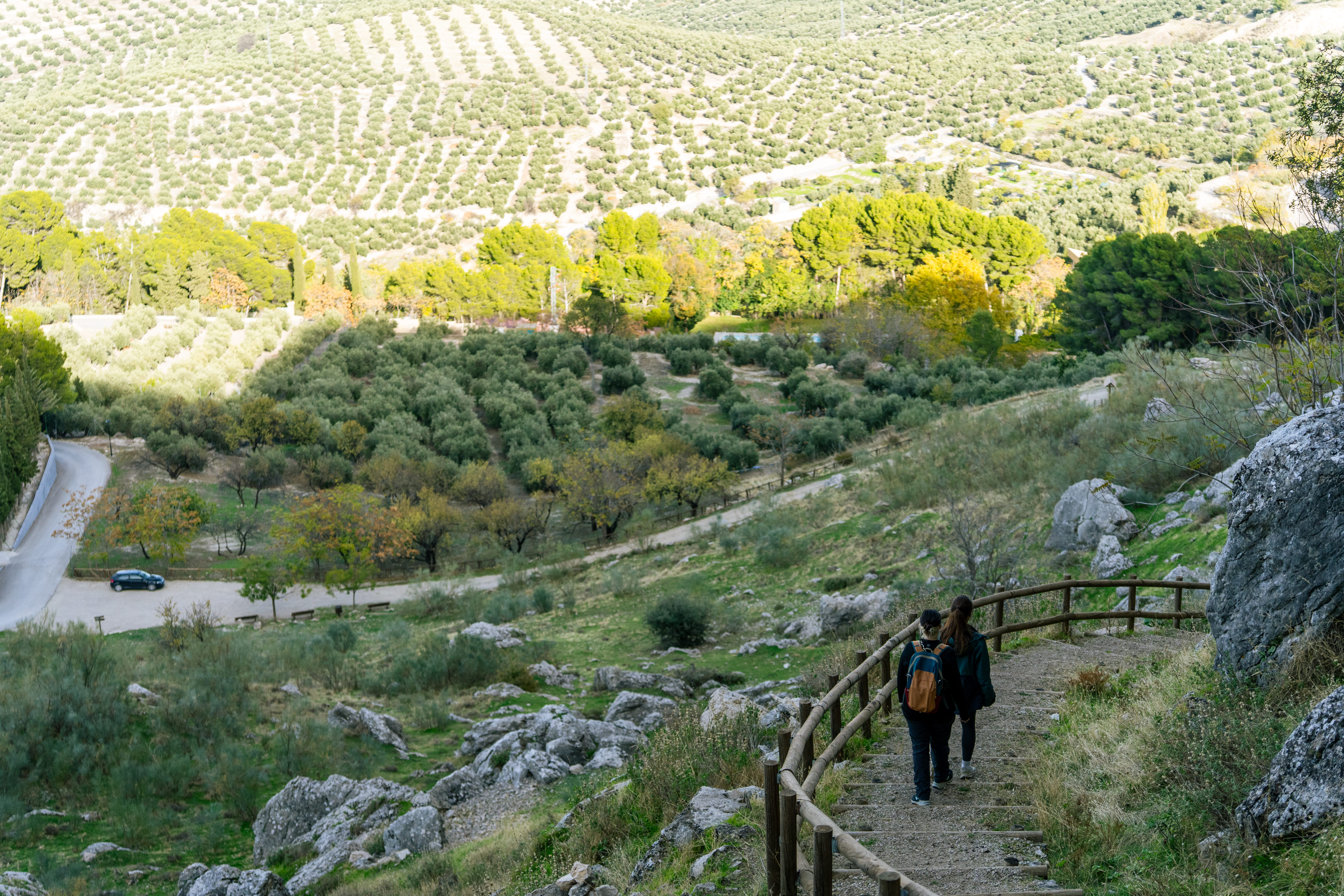 dos personas caminando por un sendero y al fondo un mar de olivos
