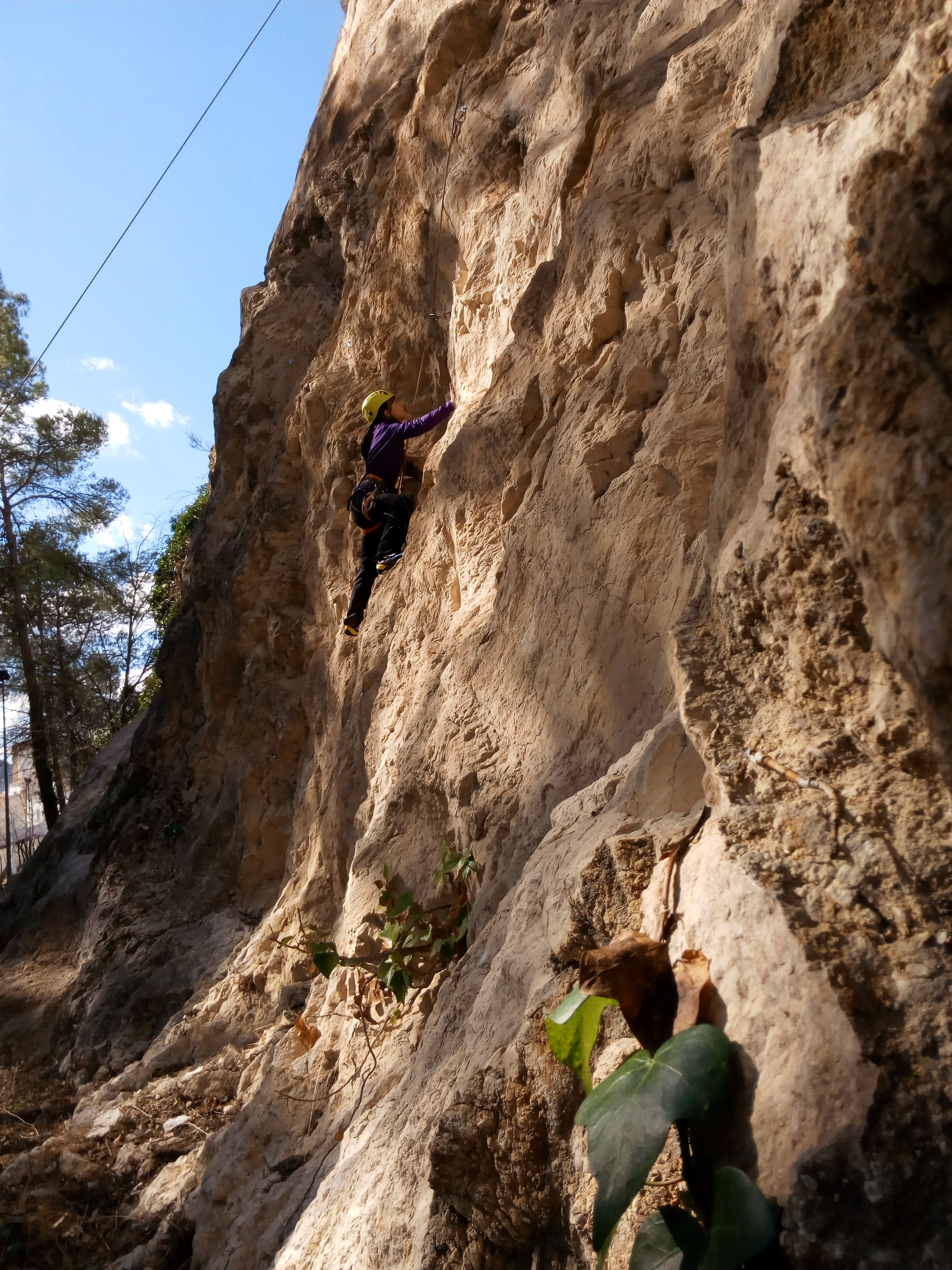 Persona escalando una pared vertical de roca clara, asegurada con cuerda y casco amarillo. La escena está rodeada de naturaleza, con árboles y vegetación en la base de la roca.