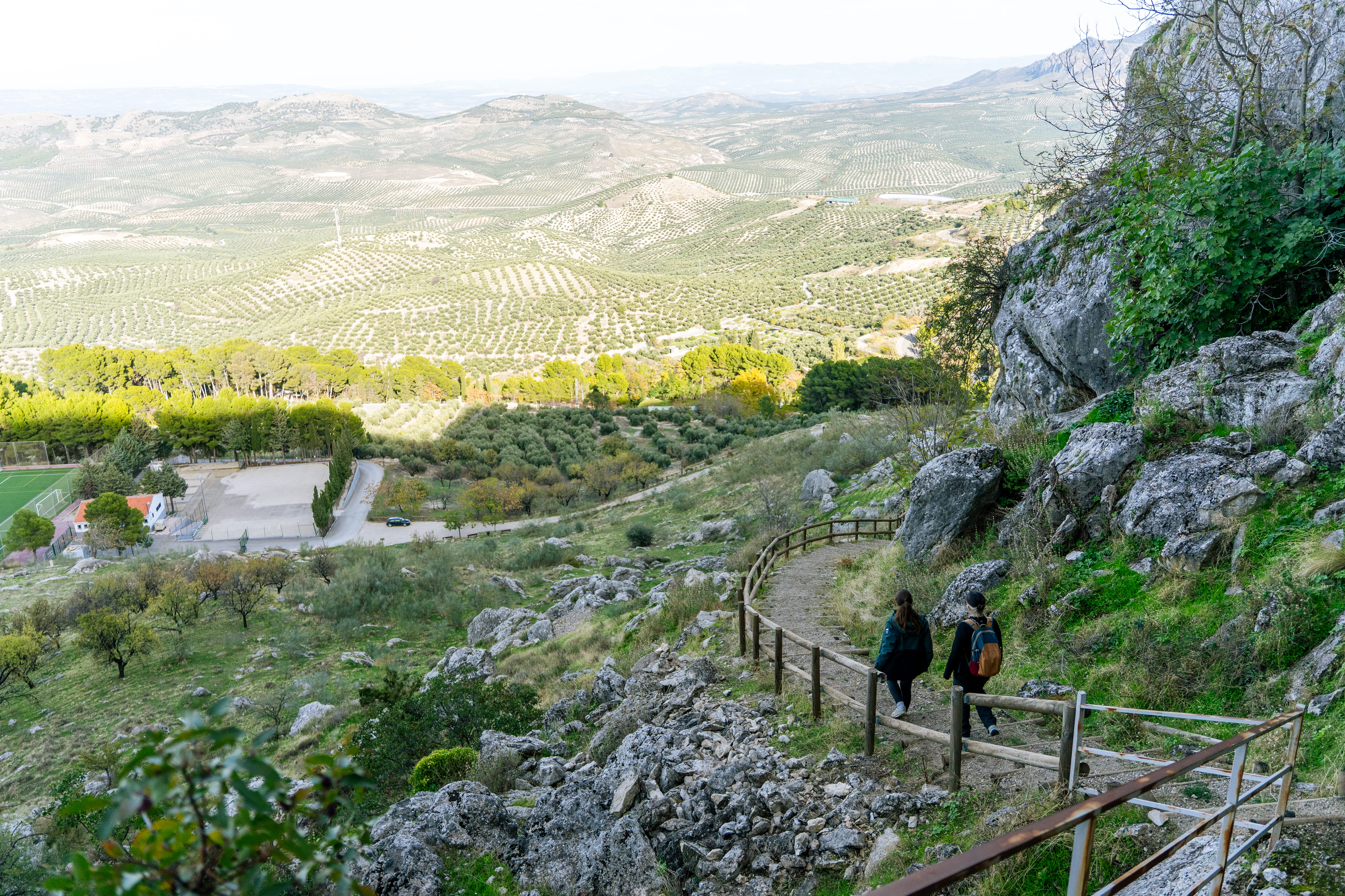 dos personas caminando por un sendero y al fondo un mar de olivos