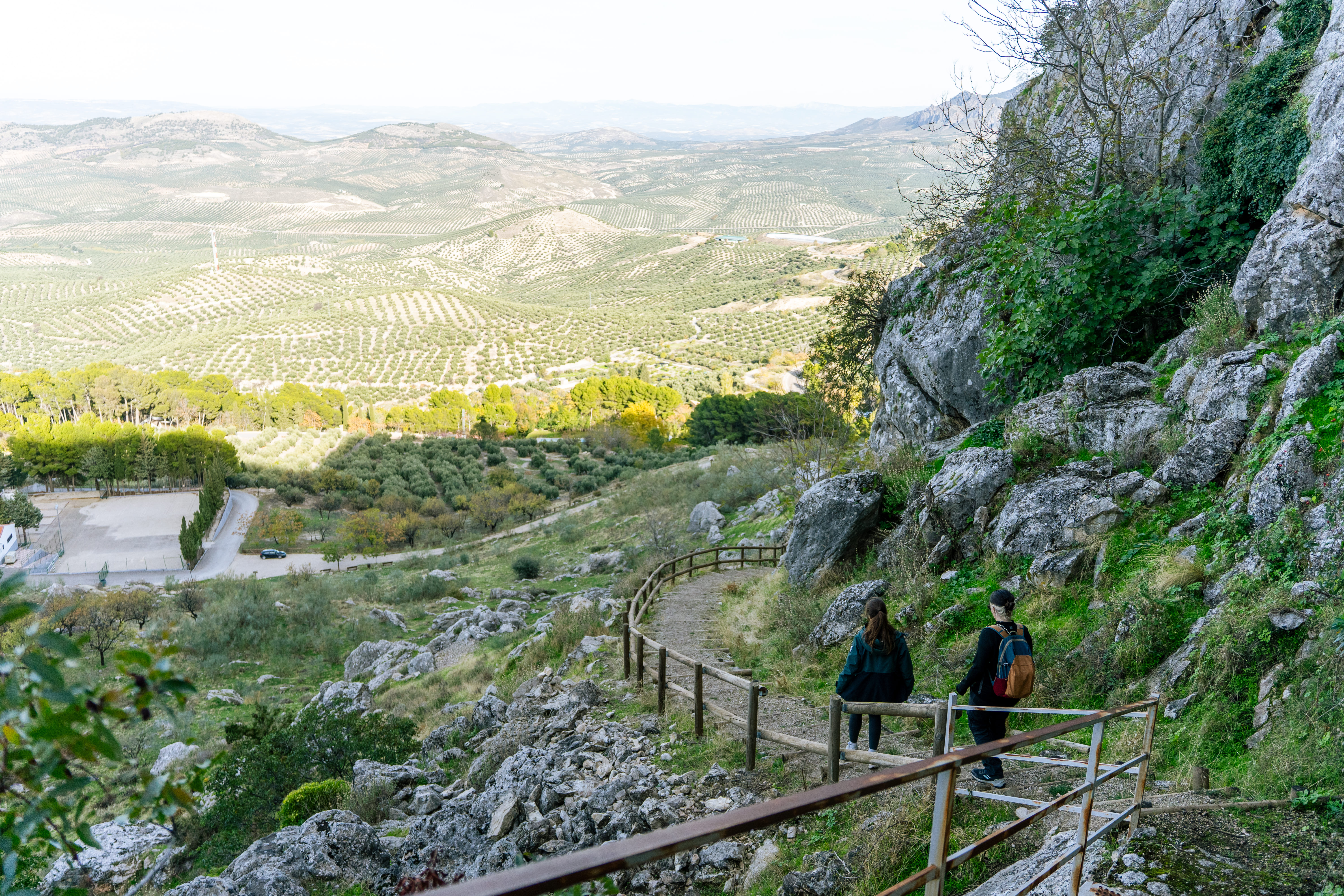 dos personas caminando por un sendero y al fondo un mar de olivos