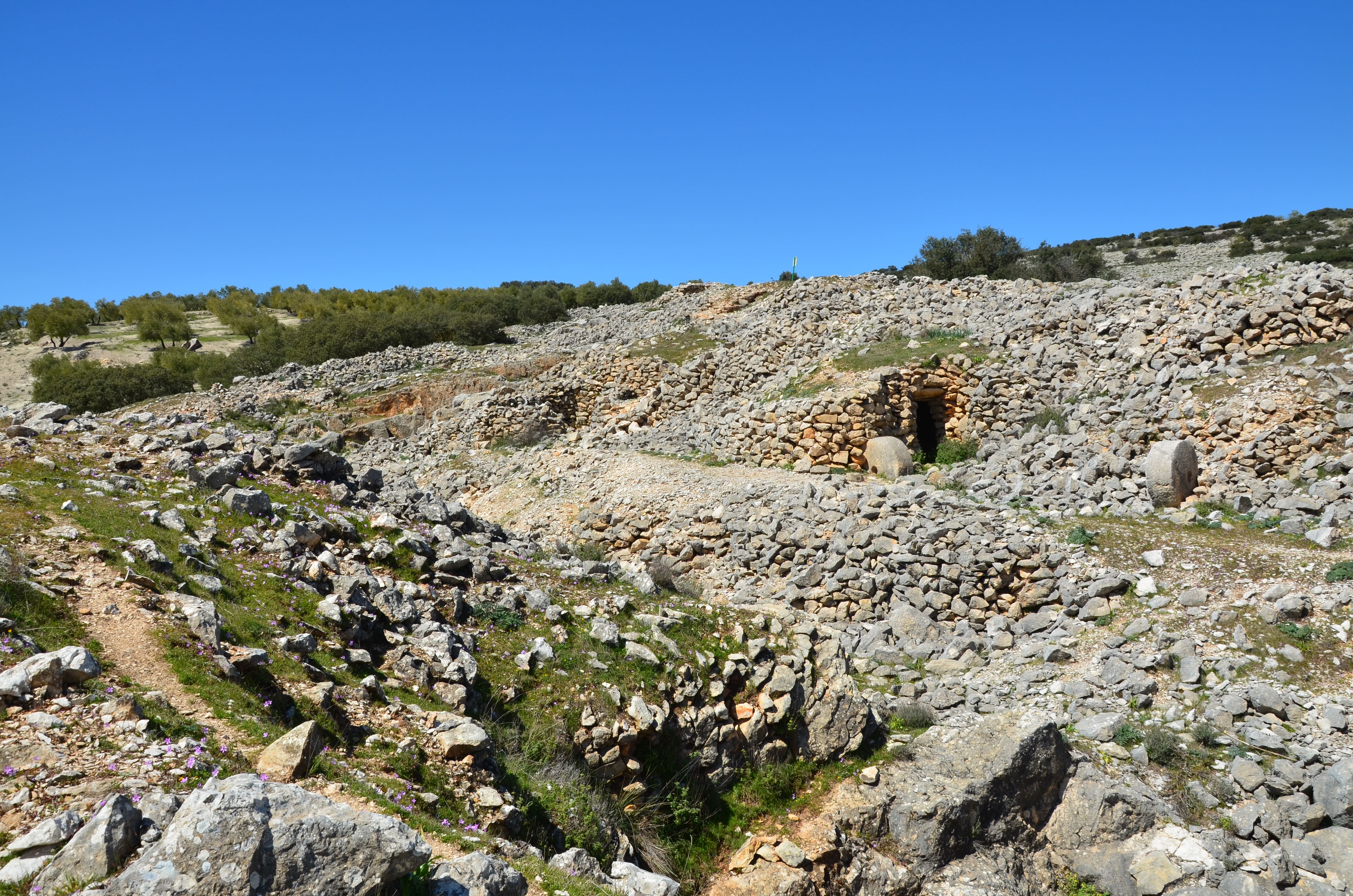 Vista amplia del conjunto de Los Caracoles, formado por acumulaciones de piedra seca y pequeñas construcciones tradicionales en la ladera. El entorno combina terreno rocoso, vegetación baja y olivos.