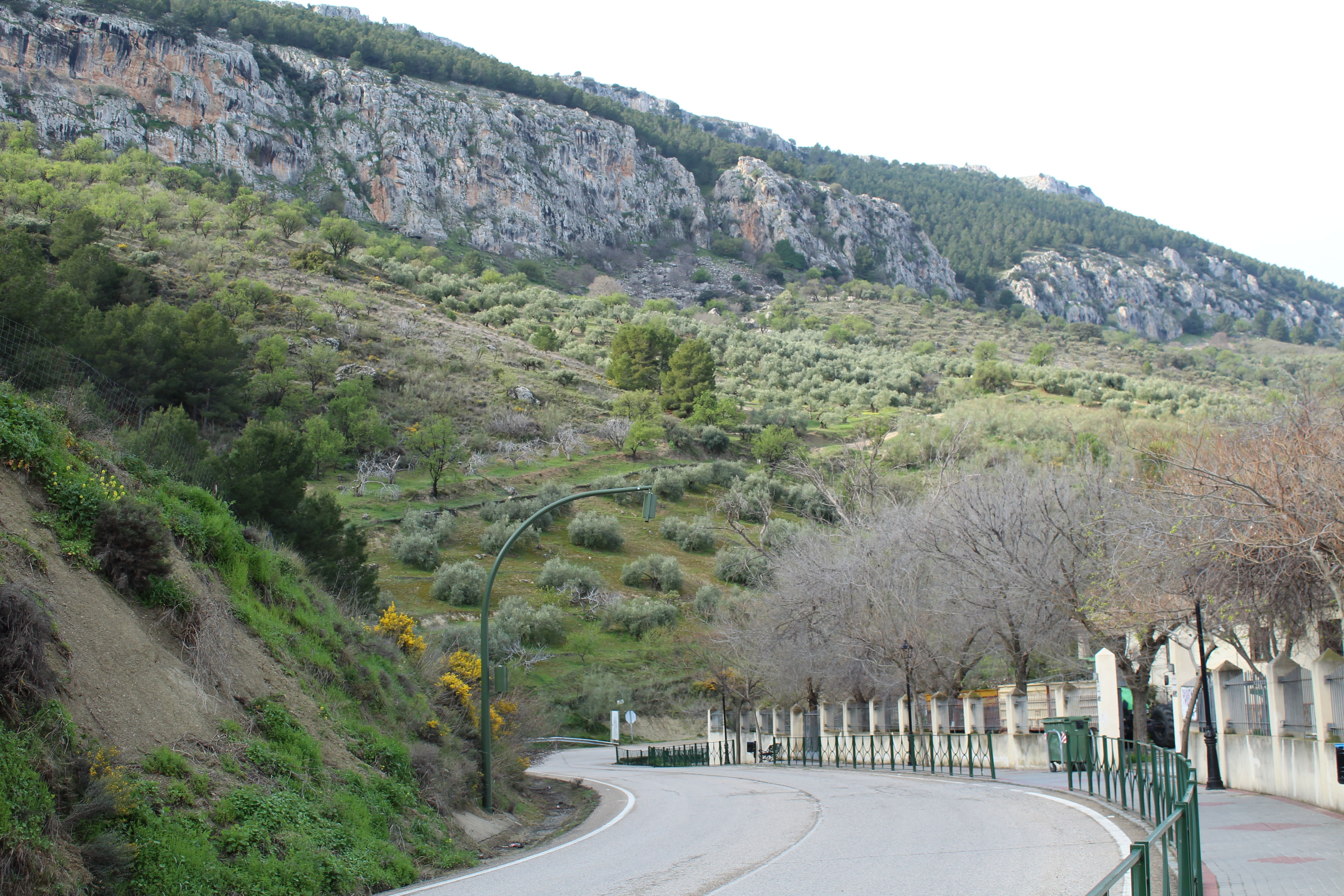 Una carretera de montaña rodeada de vegetación, con un paisaje de acantilados a la i
