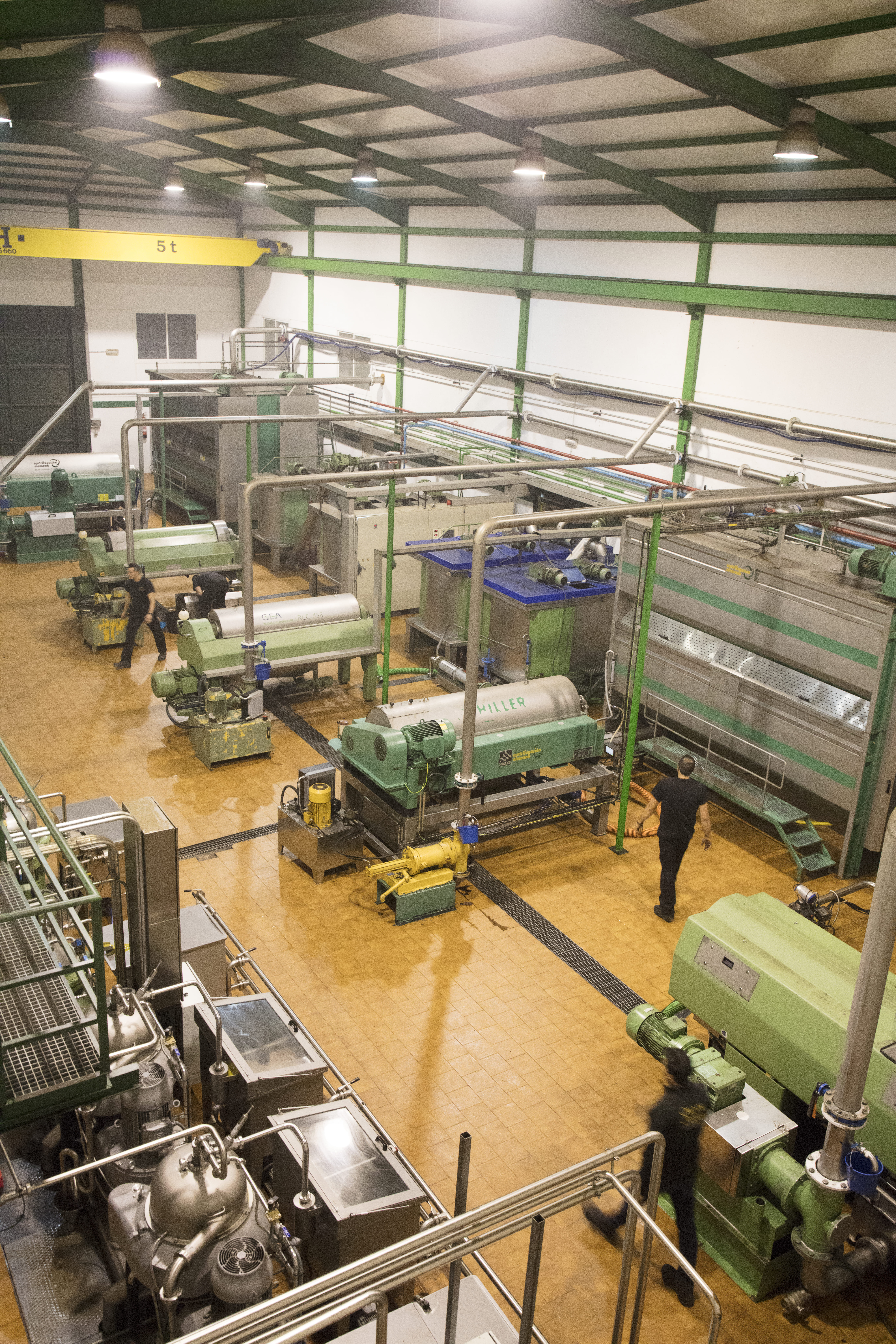 Vista general de una almazara con maquinaria industrial en funcionamiento y operarios trabajando en el proceso de elaboración del aceite.