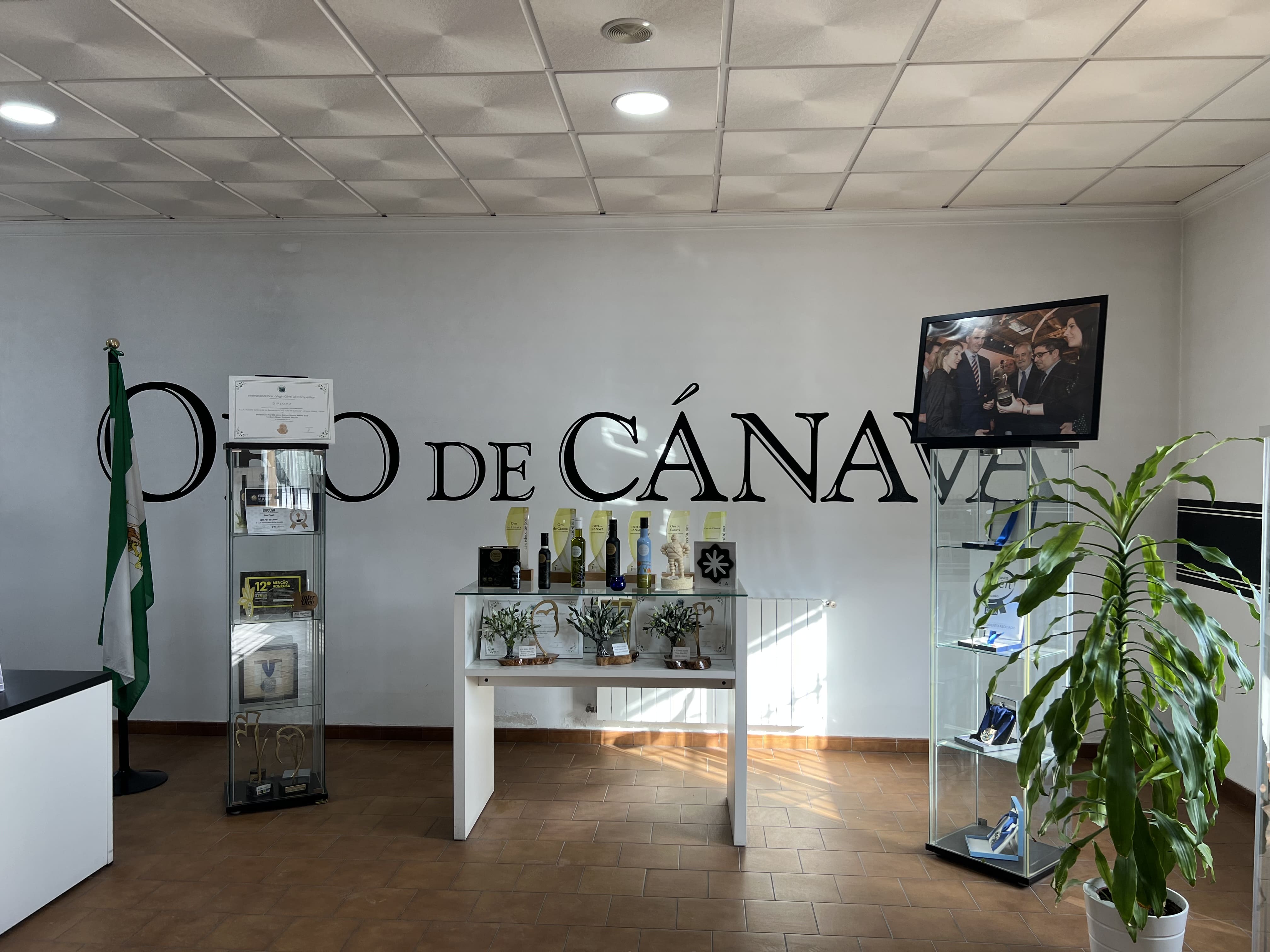 Espacio expositivo de Oro de Cánava con vitrinas, reconocimientos, botellas de aceite de oliva virgen extra y el logotipo de la marca en la pared.