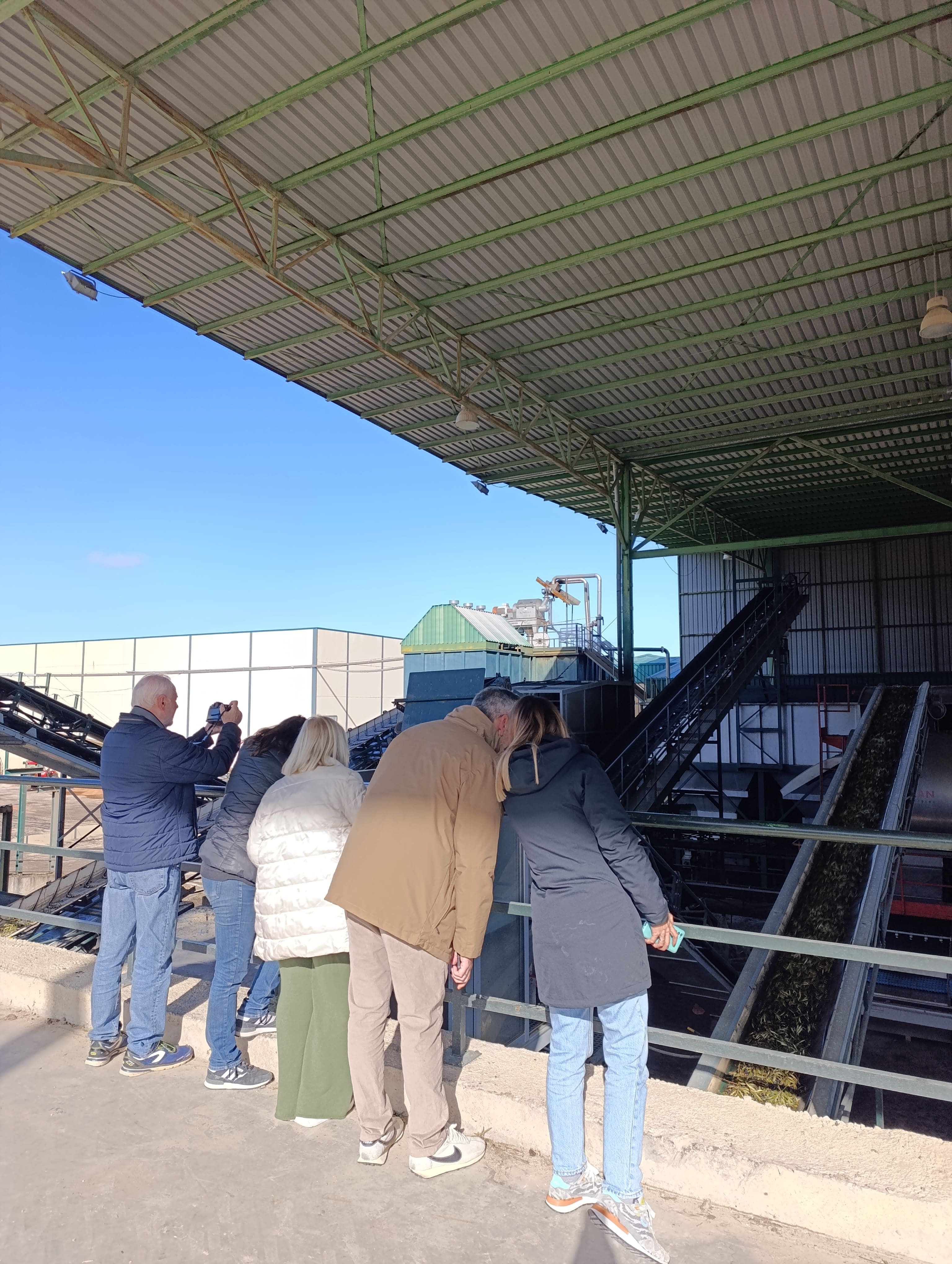 Grupo de visitantes observando el proceso de llegada y tratamiento de la aceituna en una zona industrial abierta de la almazara.