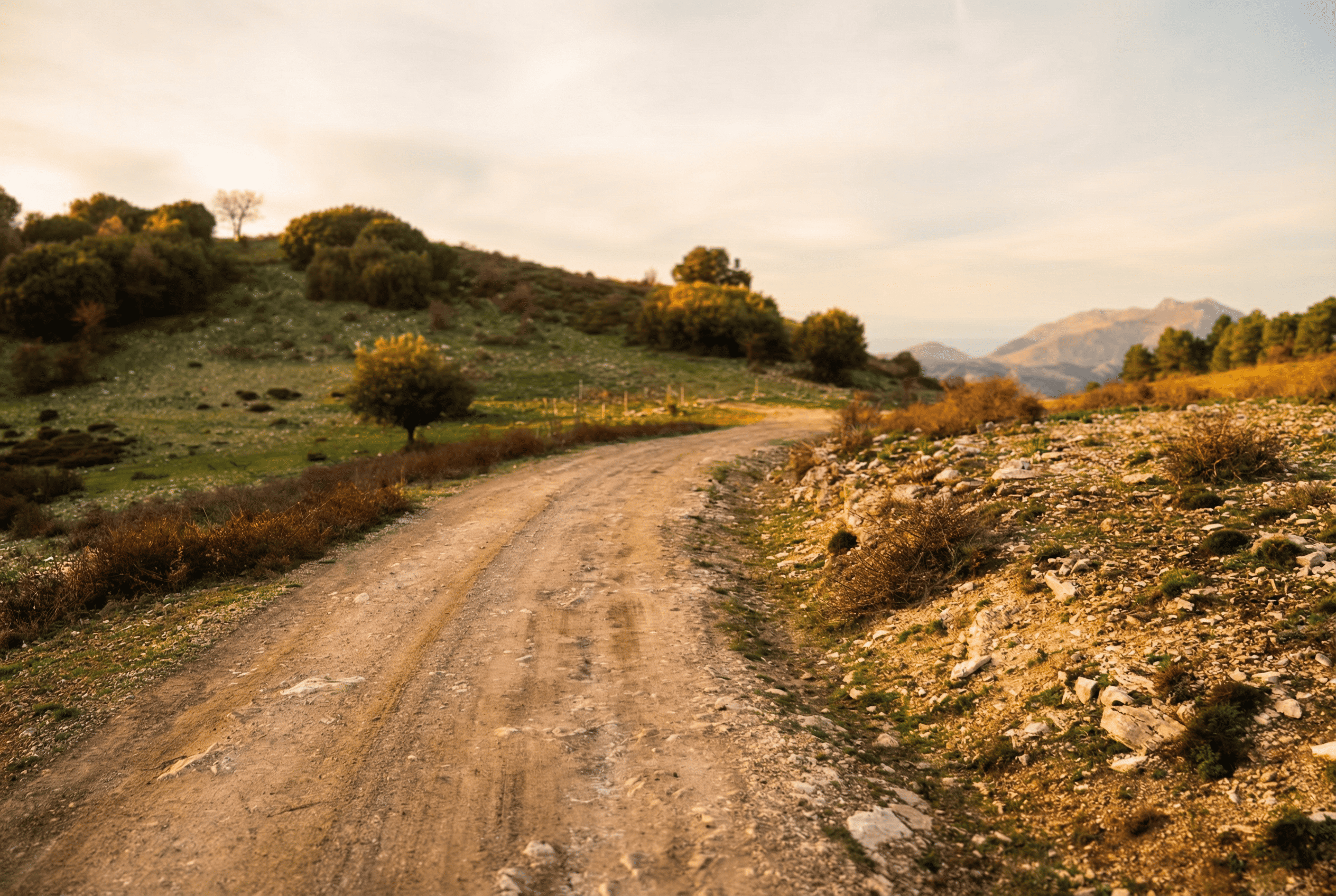 Puerto de La Mata, camino de tierra para hacer senderismo