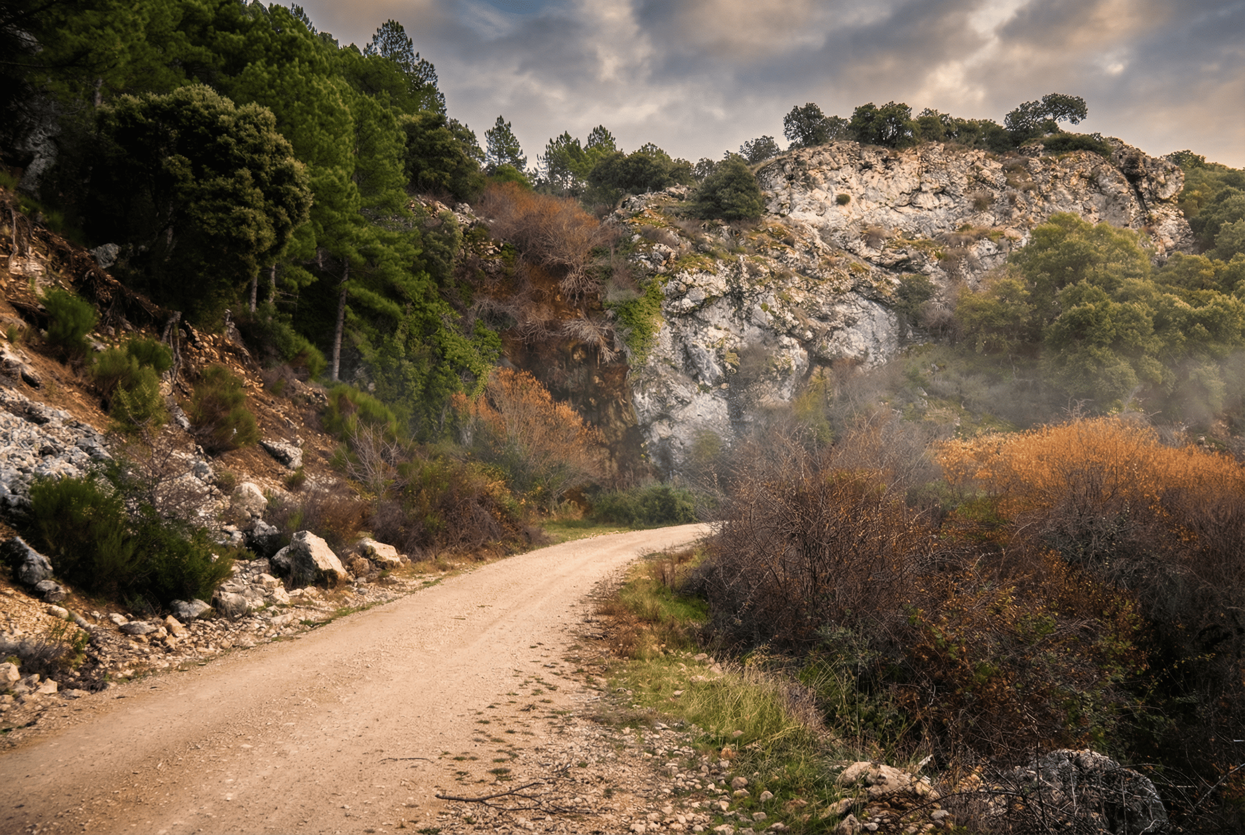 en la imagen se ve un sendero de tierra rodeado de montaña y vegetación en otoño