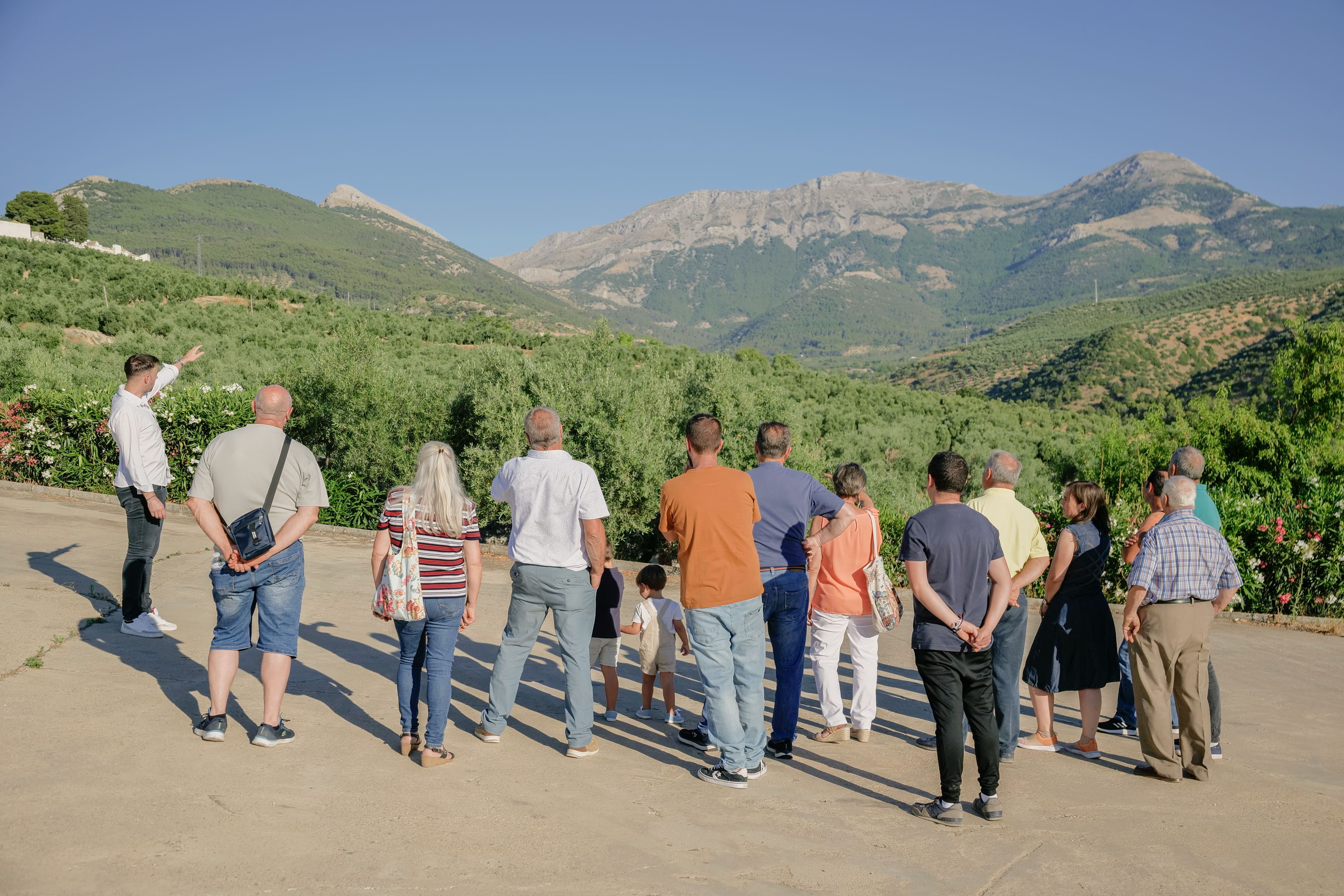 Grupo de personas detenidas en un claro del olivar mientras un guía señala el paisaje de Sierra Mágina al fondo durante la visita.