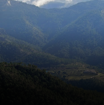 Disfruta el sendero GR 247 Bosques del Sur