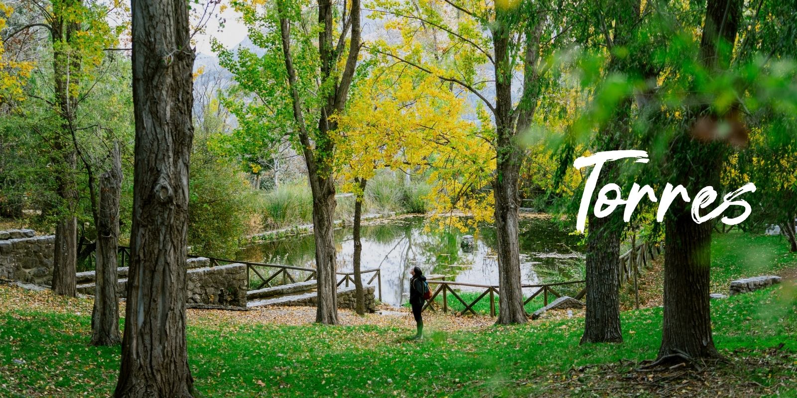 Imagen principal del hero