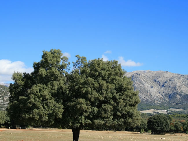 Aula de Naturaleza El Hornico - Refugio Casa Forestal Fuente Acero