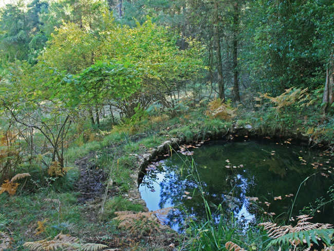 Refugio Era del Fustal – Área Recreativa Peña del Olivar