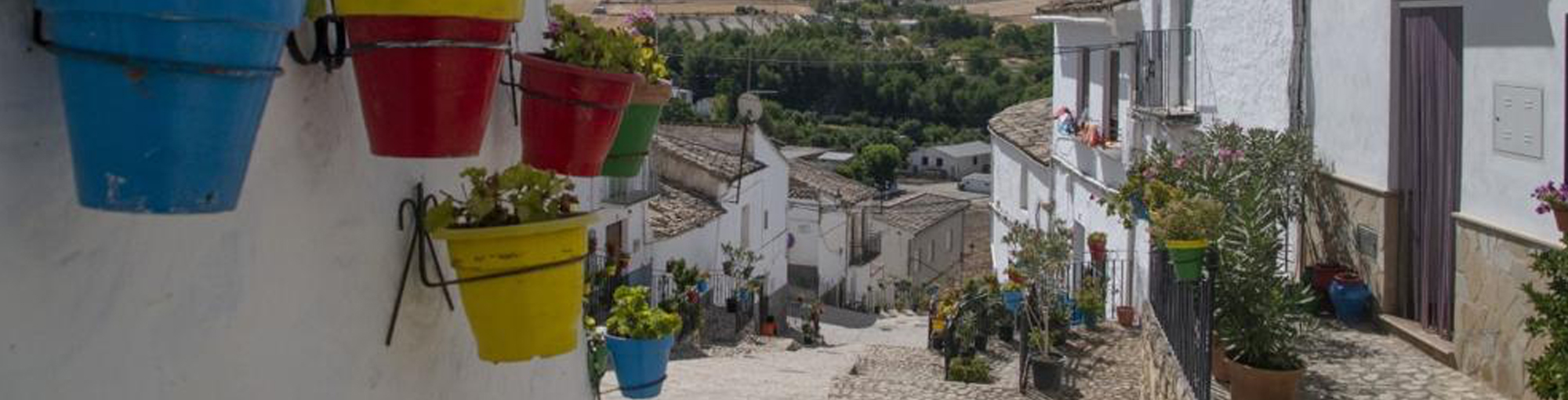 peal-de-becerro