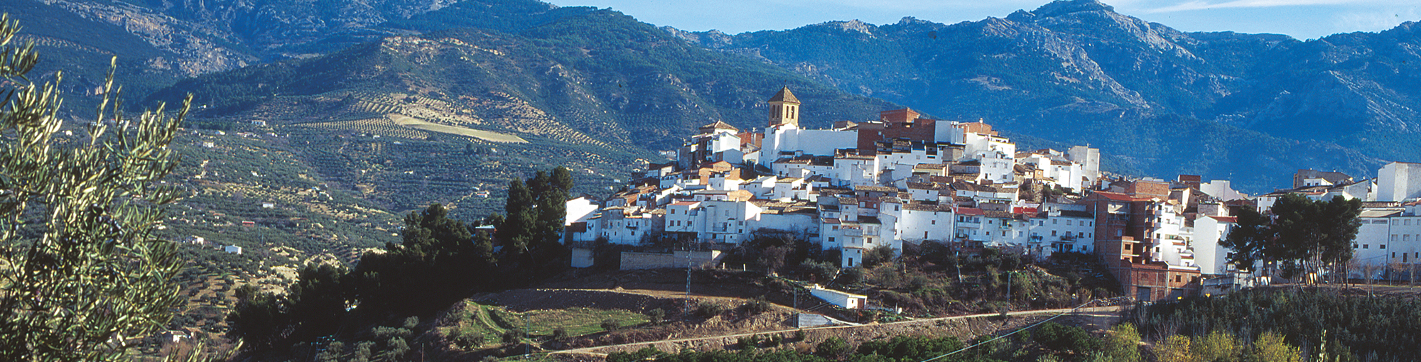 quesada