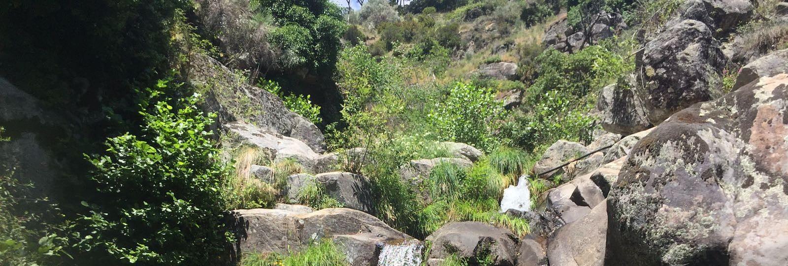 Barranco del Arroyo Gargantón.jpg