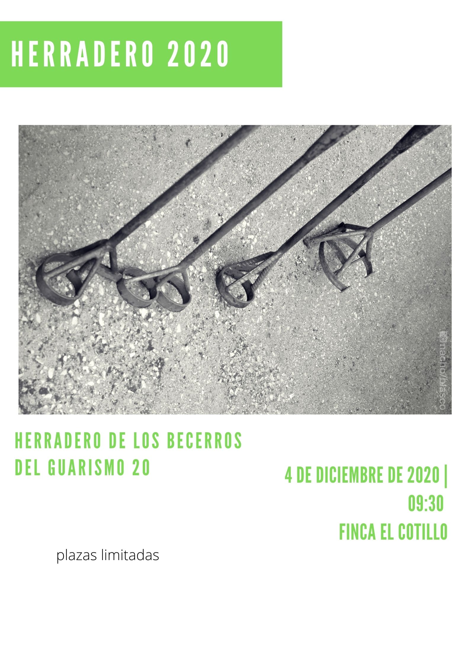 Herradero Guarismo 20