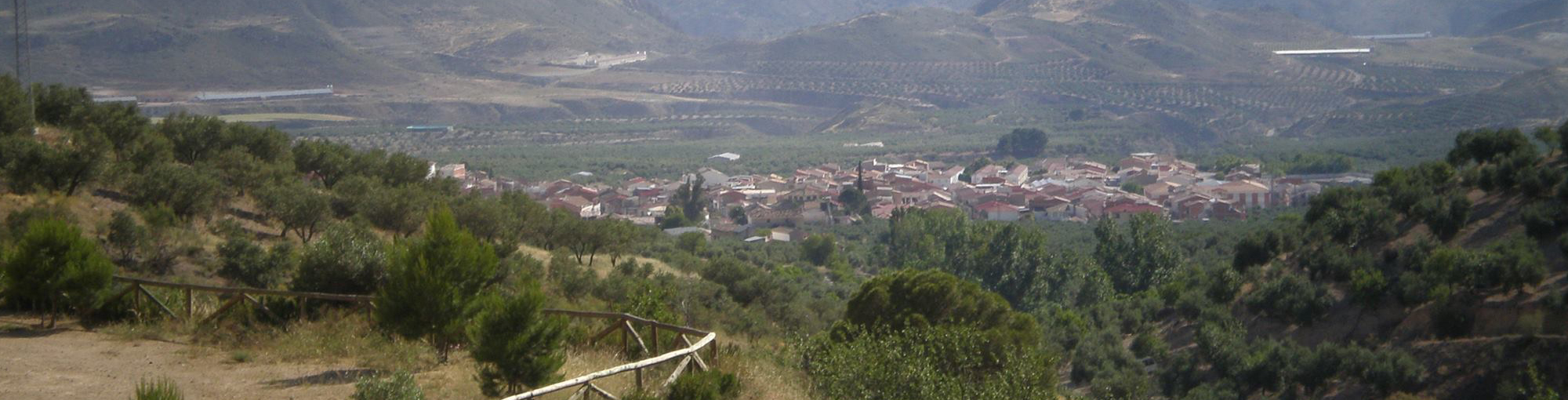 huesa