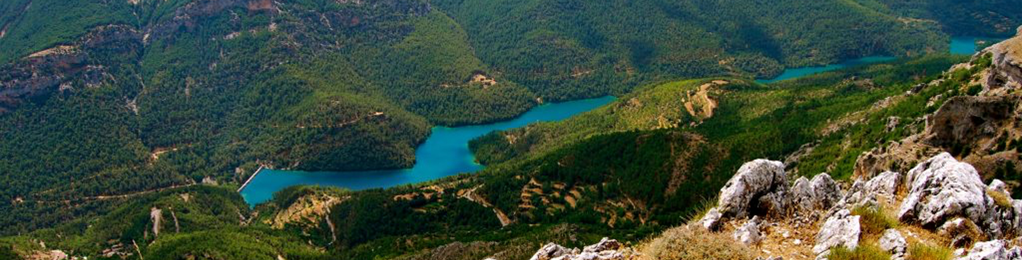 siles