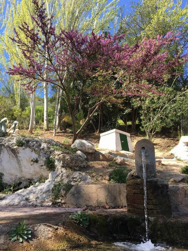 Paraje del Nacimiento