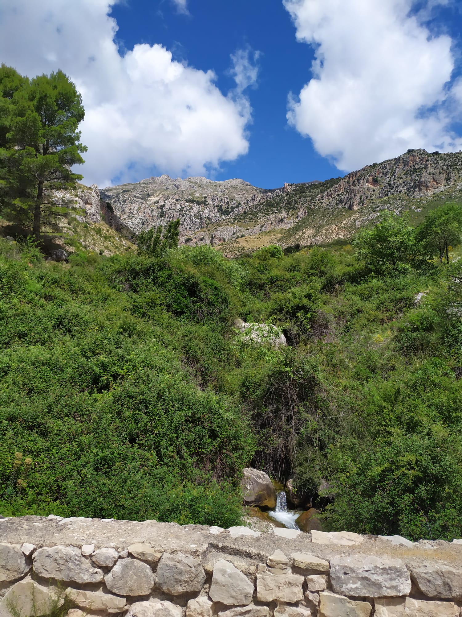 Barranco del Arroyo Gargantón