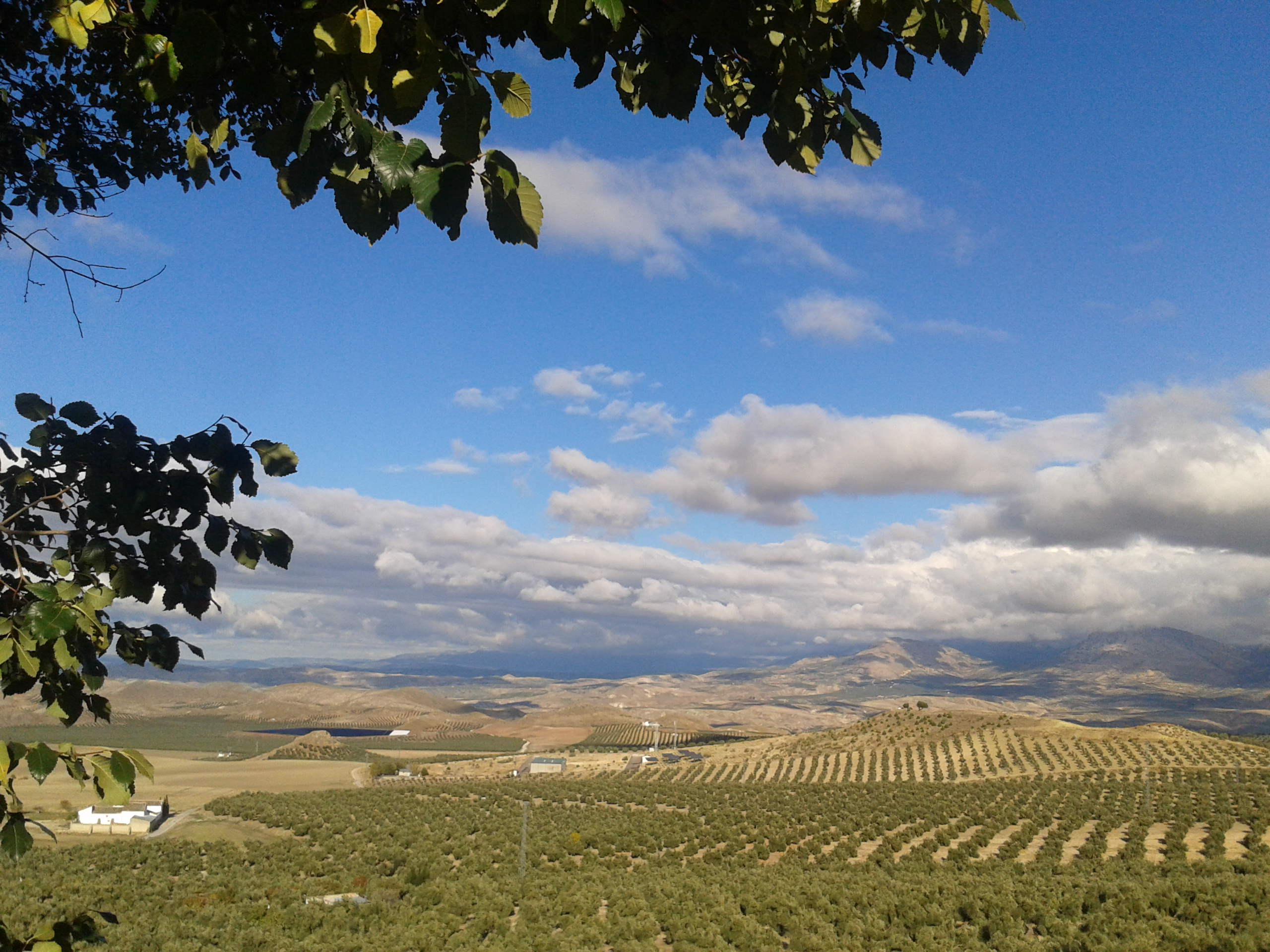 Mirador Campos de Larva