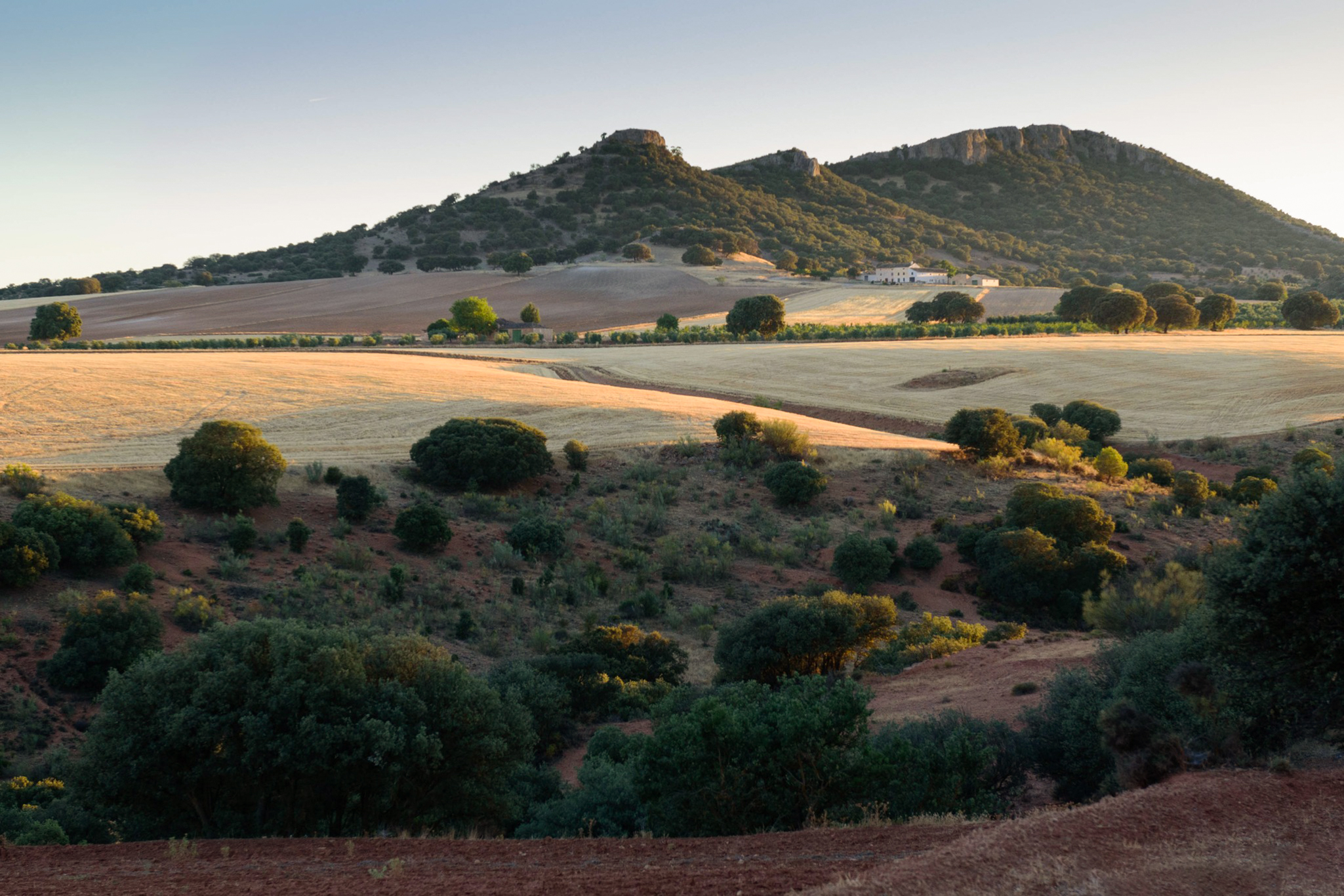 El Cerro de Cabeza Montosa