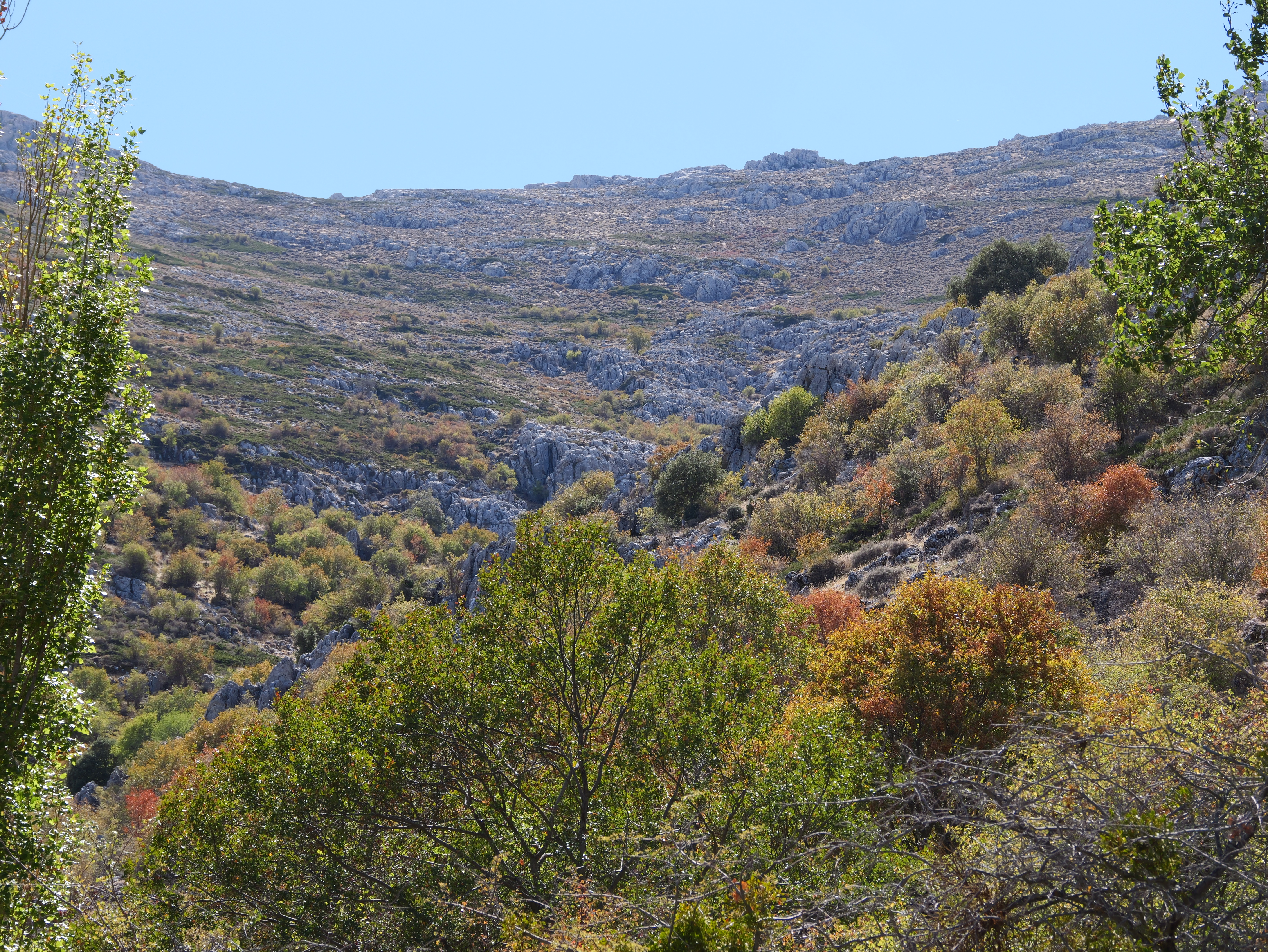 Paraje del Caño del Aguadero