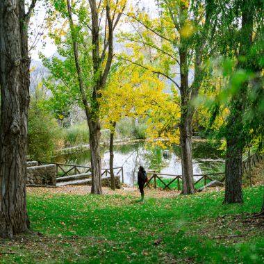 Paraje y manantial de Fuenmayor - Área recreativa