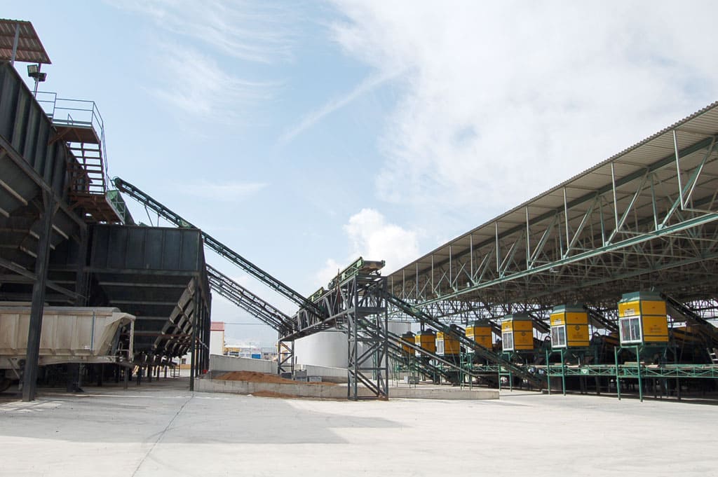 Saborea Sierra Mágina: visita y degusta el aceite de Oro Magnasur