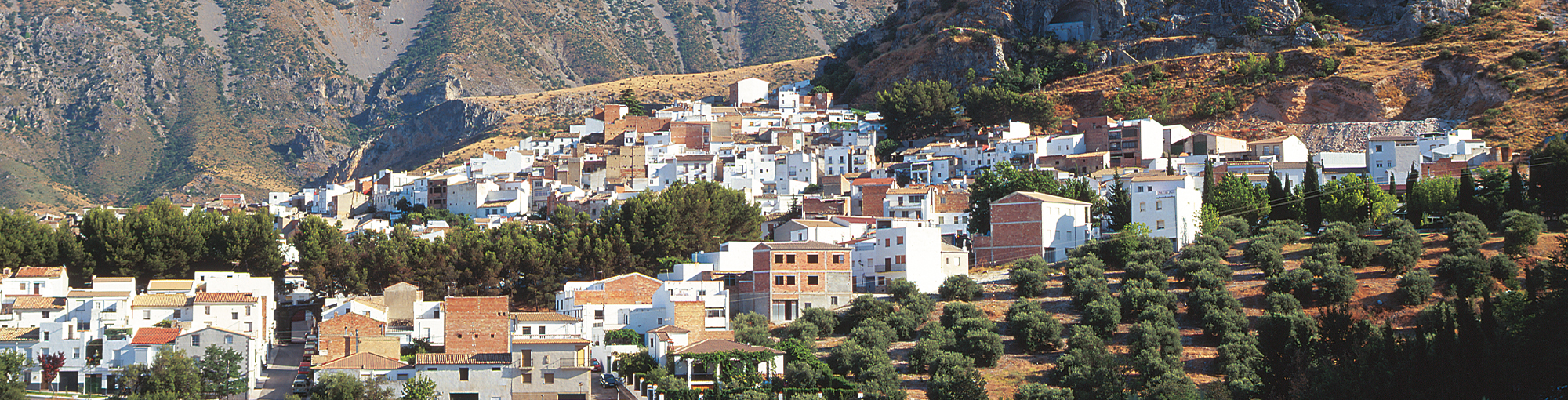 albanchez-de-magina