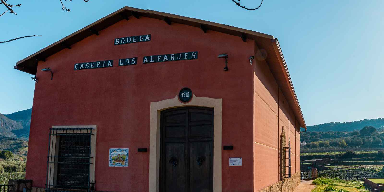 Entre viñedos y vinos: visita y cata en Casería Los Alfarjes