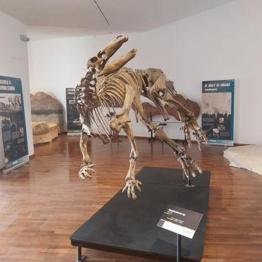 Centro de Interpretación Paleomágina