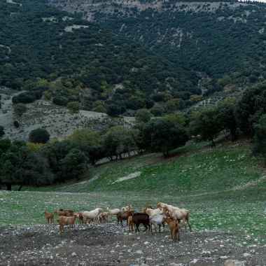 Ecoturismo