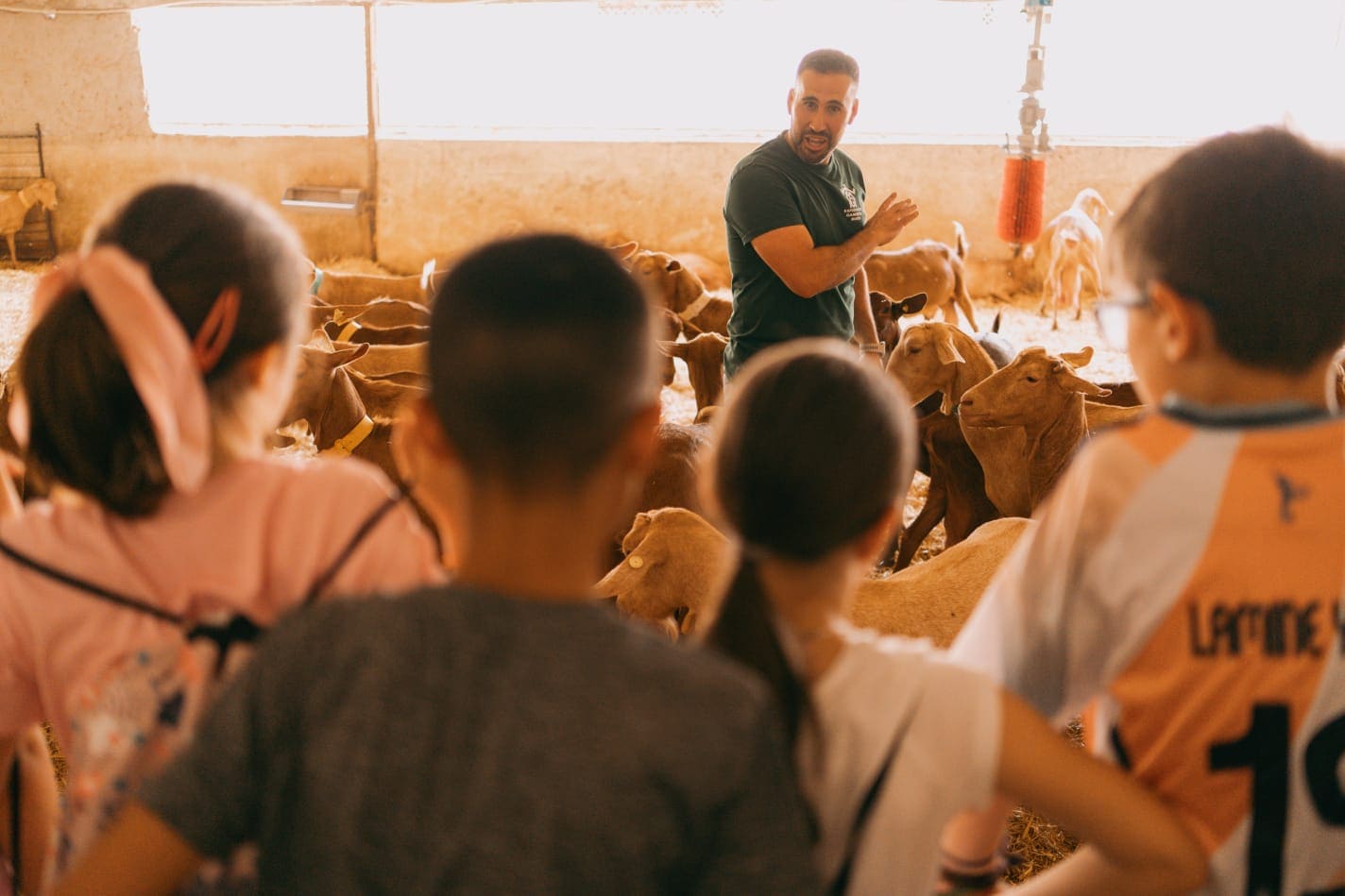 Ganadero/a por un día: el origen del queso artesanal