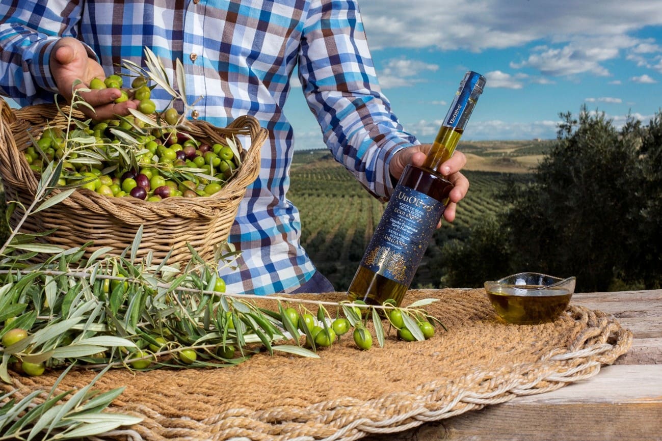 Del olivar a la almazara: la experiencia LarvaOliva