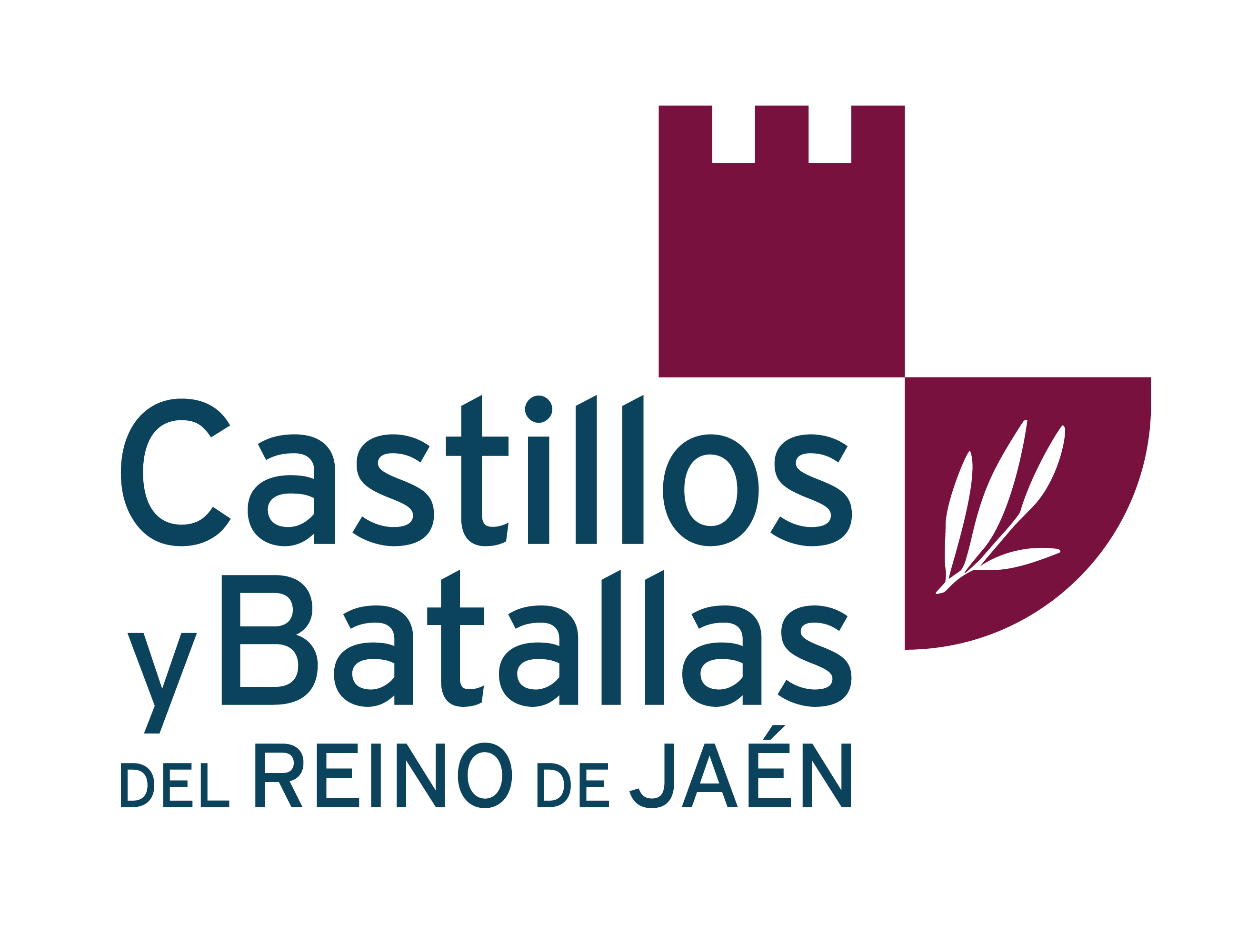 Site Castillos y Batallas