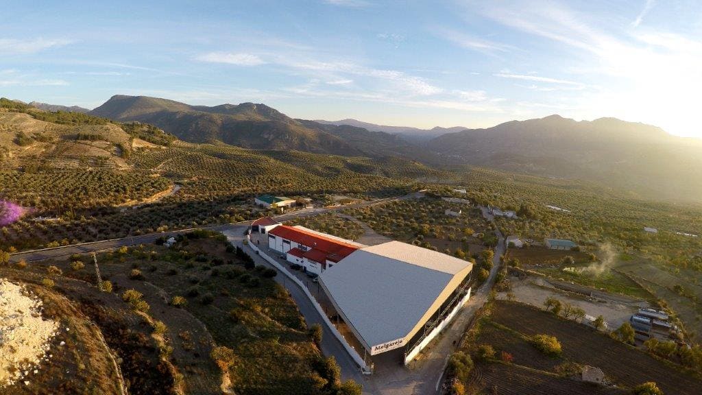Visita a la almazara, degustación de aceites y cata maridada con productos Melgarejo