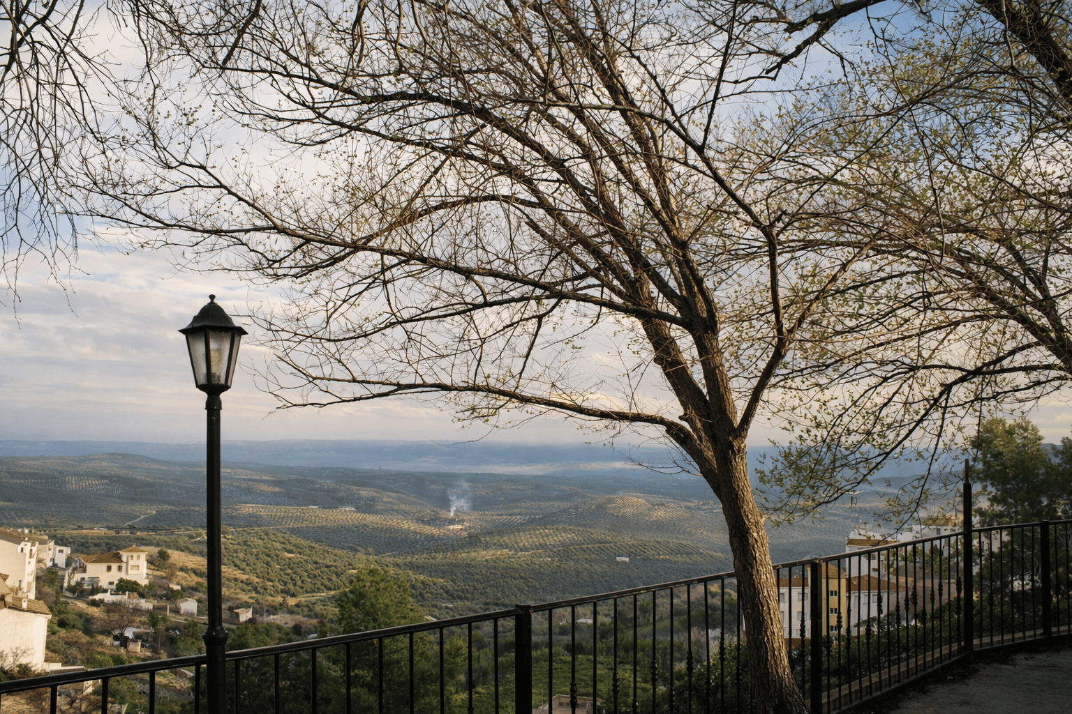 Sabores de Mágina: Menú degustación con AOVE Oro de Cánava a los pies de Sierra Mágina