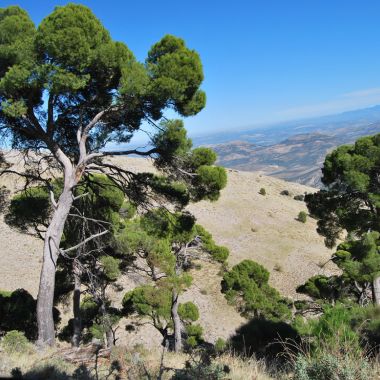 Paraje de Cánava