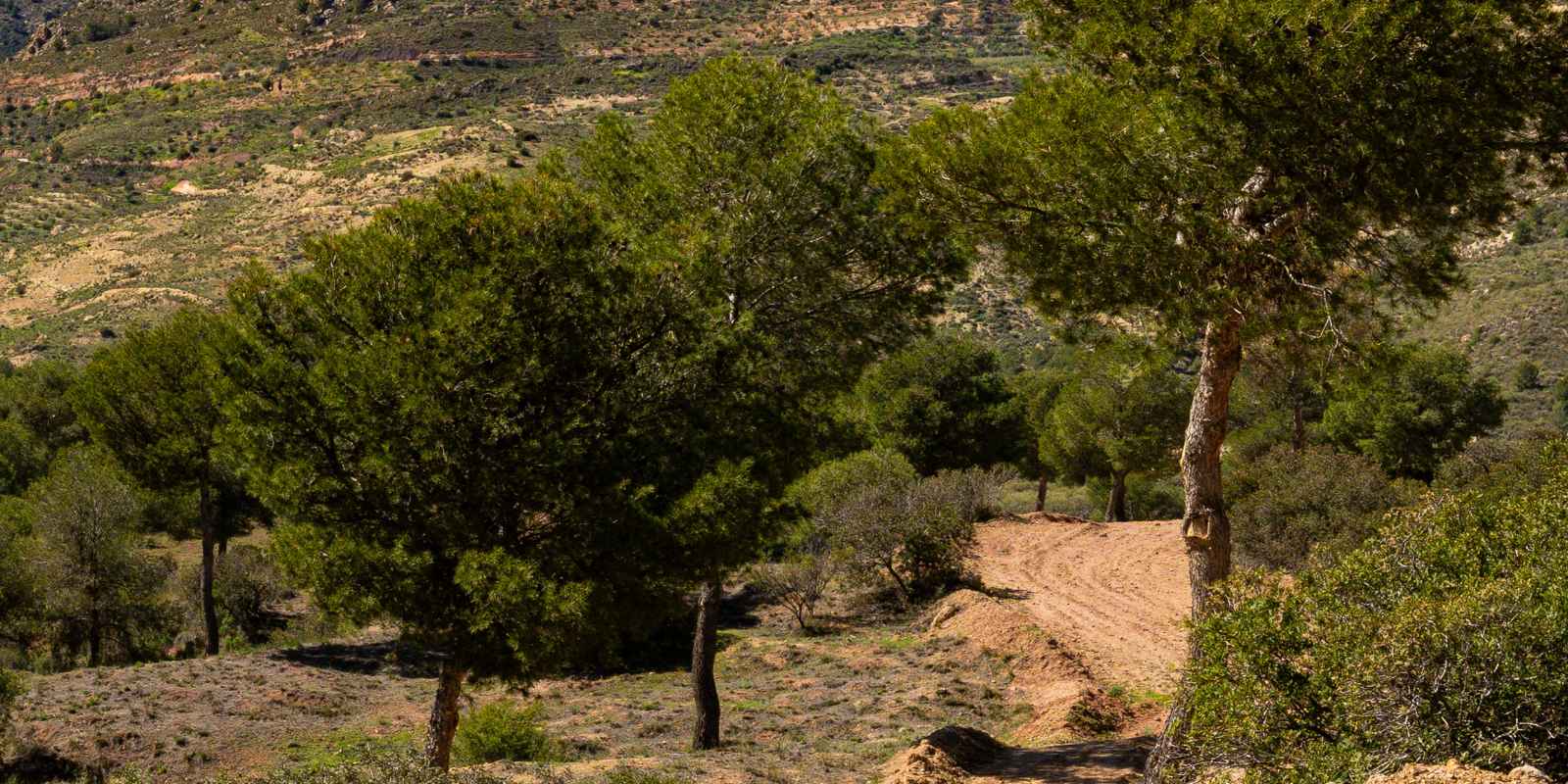 Siente la naturaleza y los sabores de Cabra del Santo Cristo