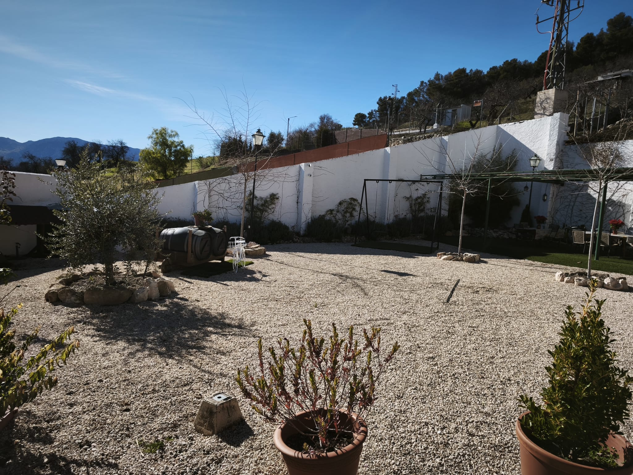 Casa Cueva El Olivo