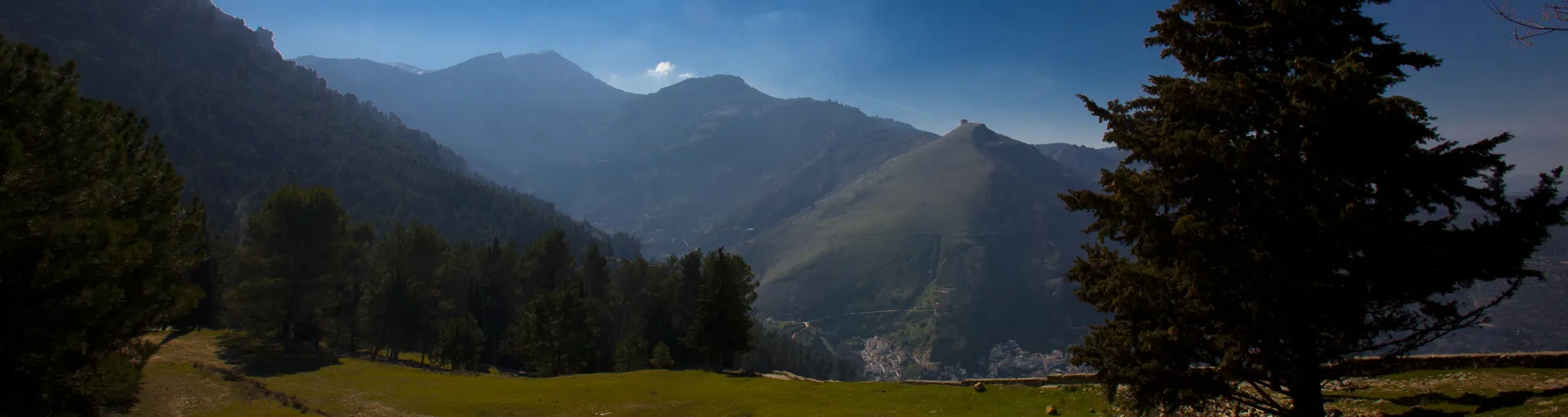 The landscapes