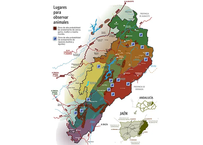 mapa-animales
