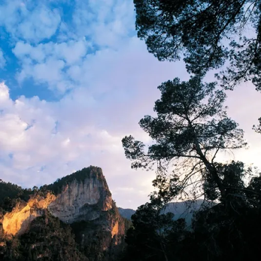 paisaje-2